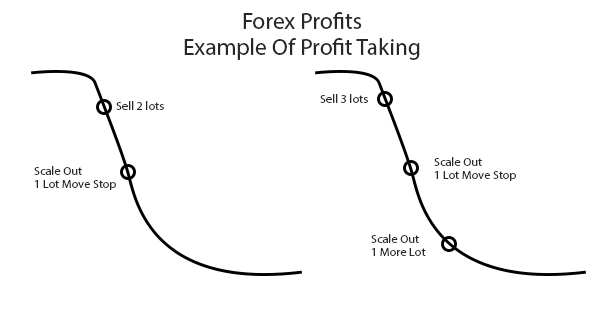 Forex Riwk Management, Set and Move Stop Orders